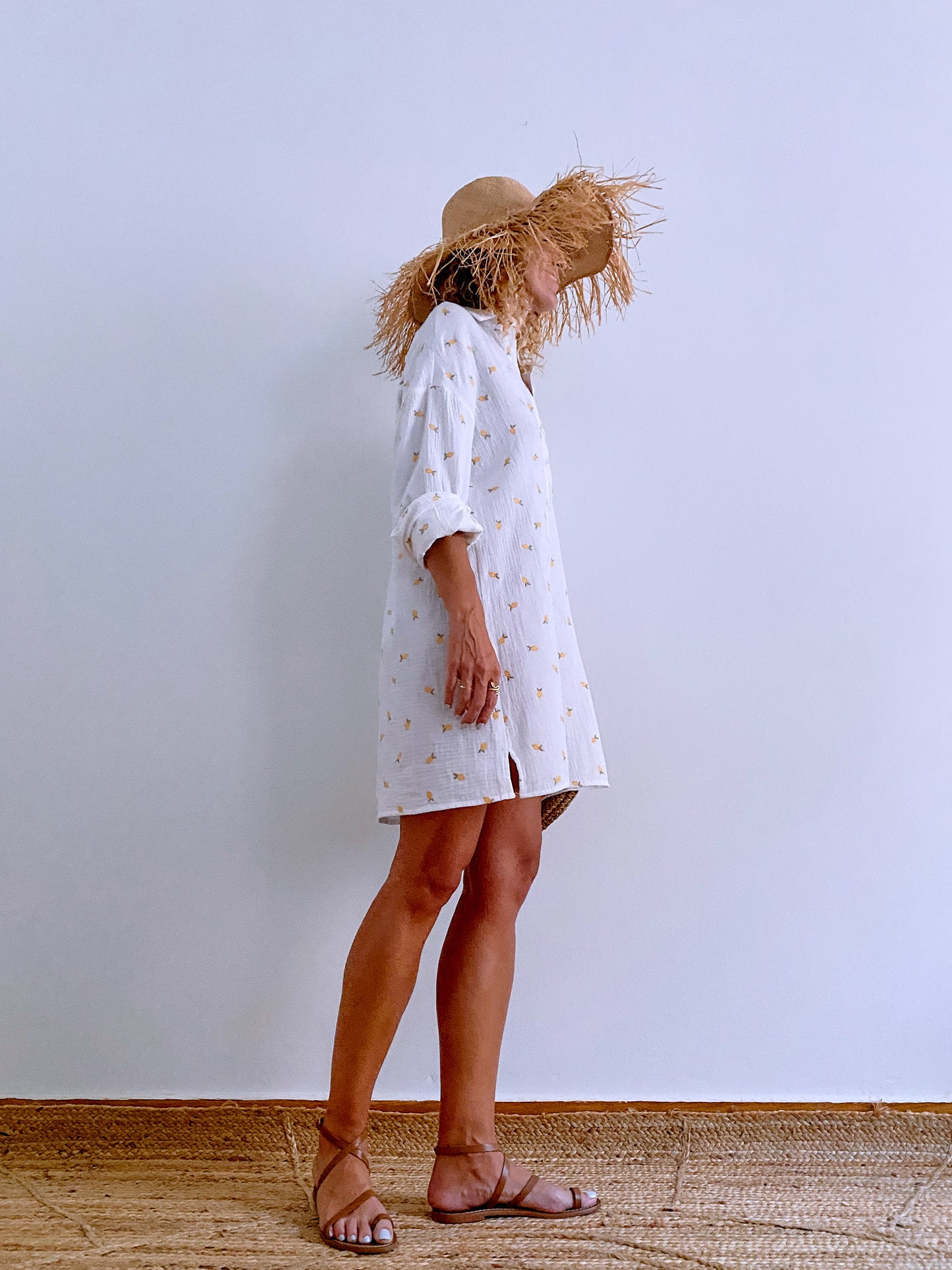 NATHALIE SHIRT DRESS